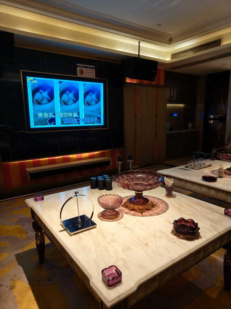 哈尔滨商务ktv有没有提供优质服务-延寿县ktv预订